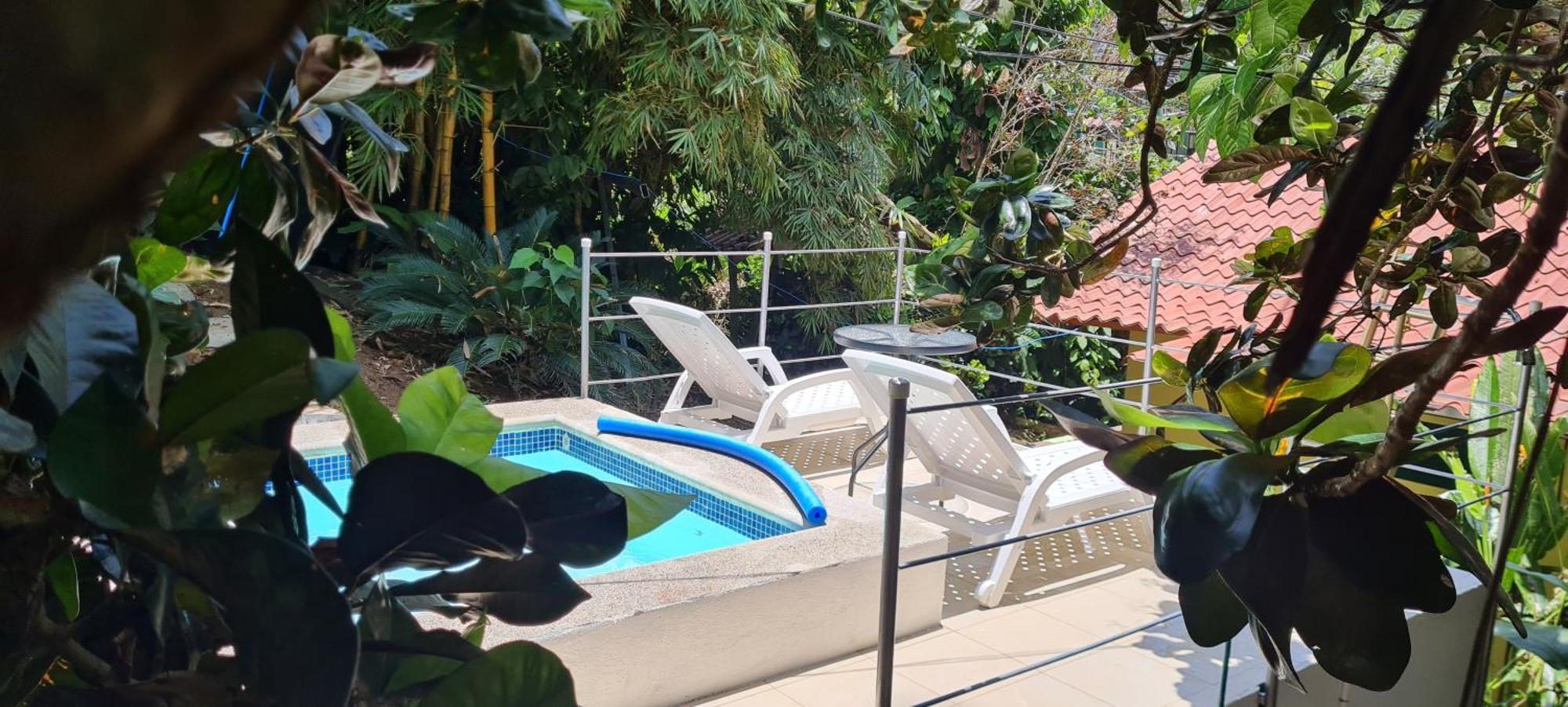 Jungle Beach Bungalow With Ac & Fiber Optic Puerto Viejo de Talamanca المظهر الخارجي الصورة